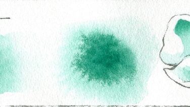 プチカラー ビリジャン ヒュー